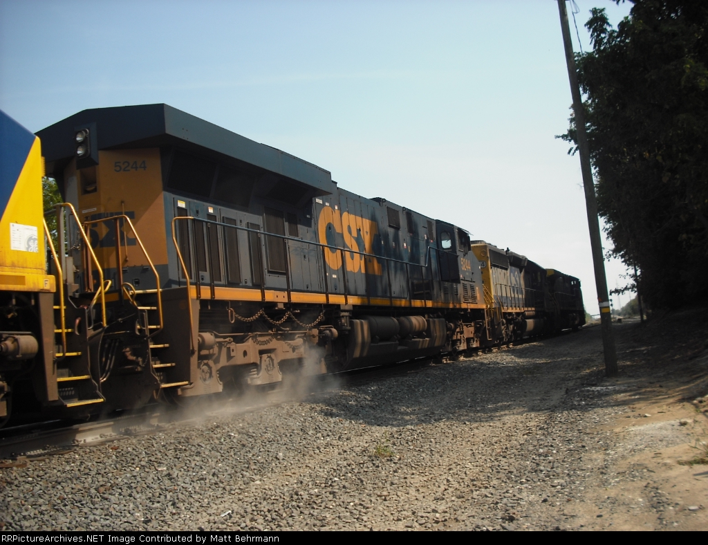 8 Headed monster!!!!!